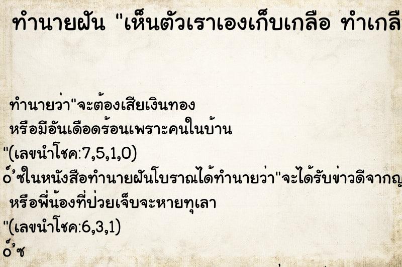 ทำนายฝัน เห็นตัวเราเองเก็บเกลือ ทำเกลือหก ทำนายฝัน เห็นตัวเราเองเก็บเกลือ ทำเกลือหก